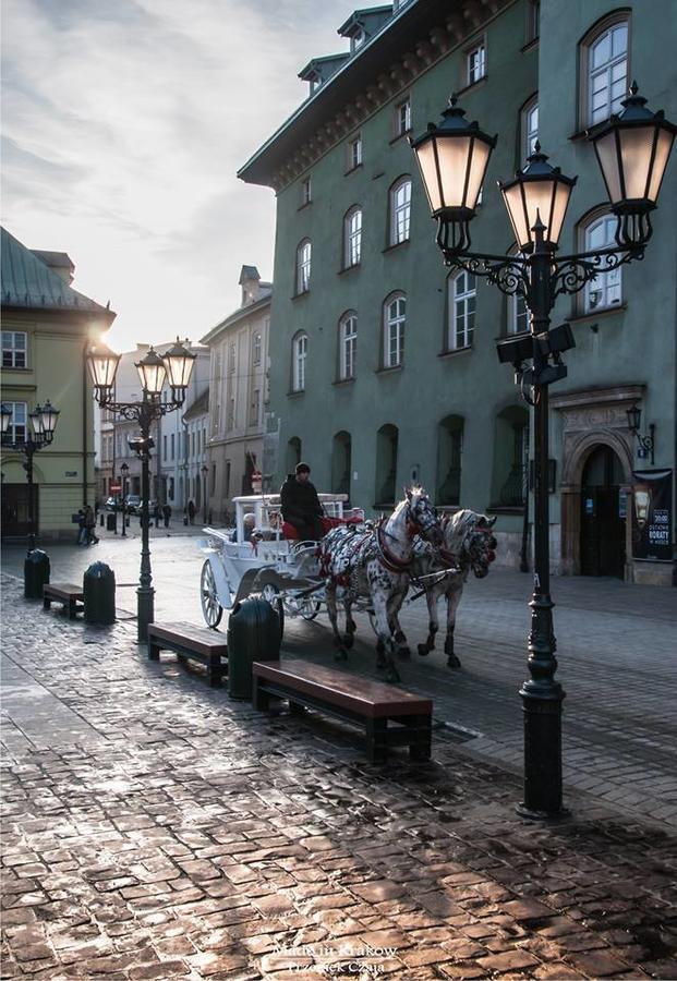 Hostel Taurus Krasków Eksteriør bilde